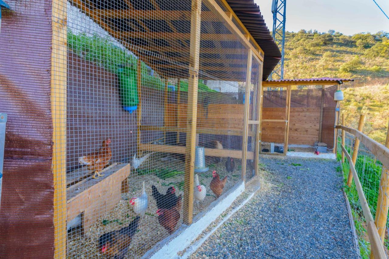 Complejo Rural El Mirador Pension Málaga Buitenkant foto